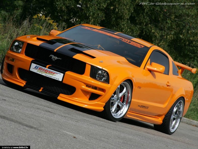 Даниил Богданов | Дубна