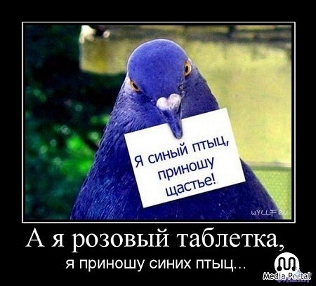 №37, Аркадий Золотарёв, 28 лет №37, Аркадий Золотарёв, 28 лет