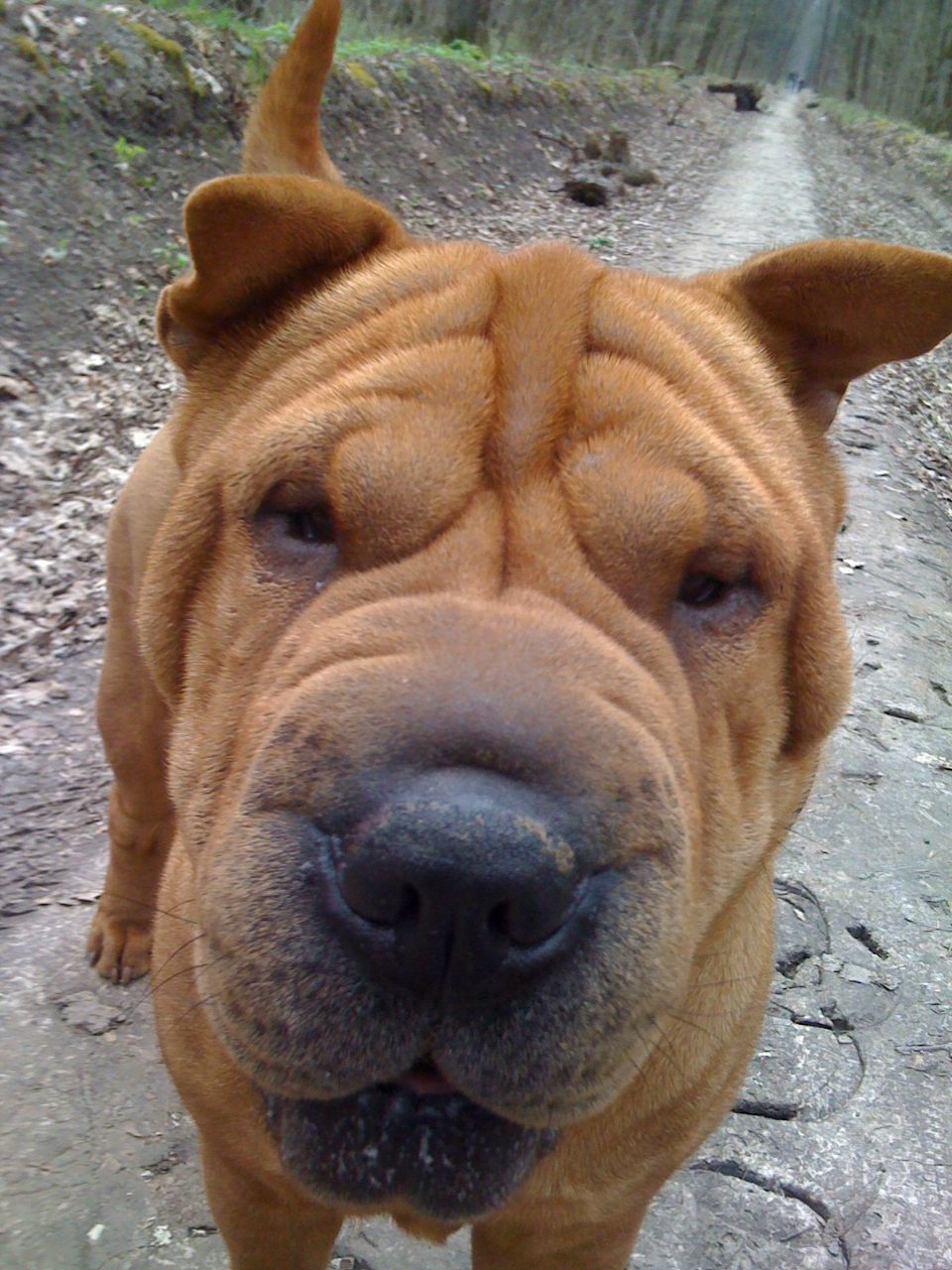 Женя Щербина Spen | Харьков