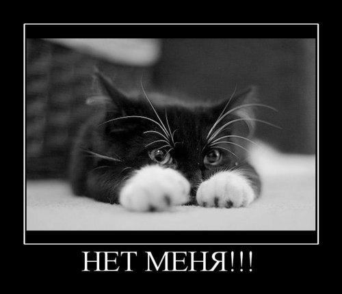 Айгуль Хикматуллина | Казань