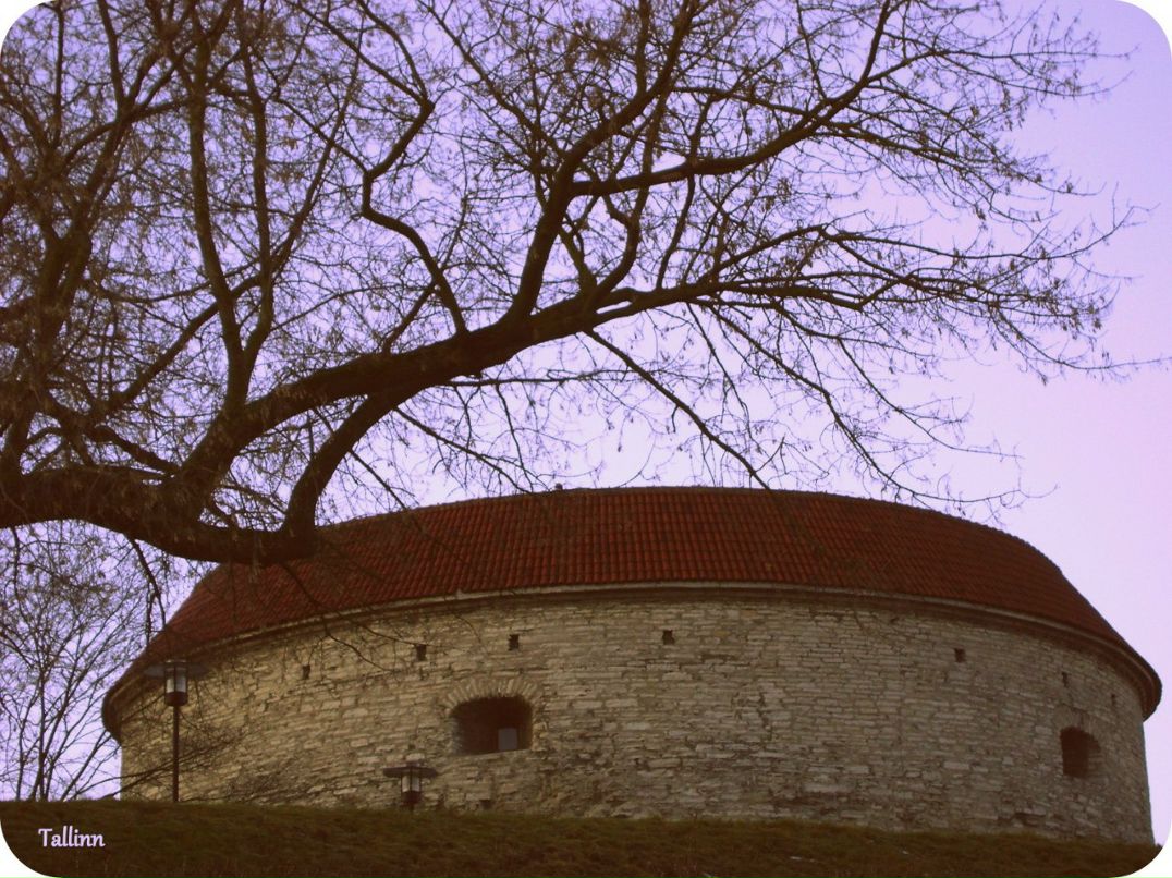 Ksenya Veter | Москва