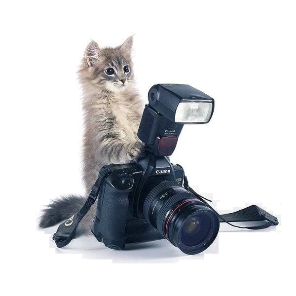 Valera Potapov | Москва