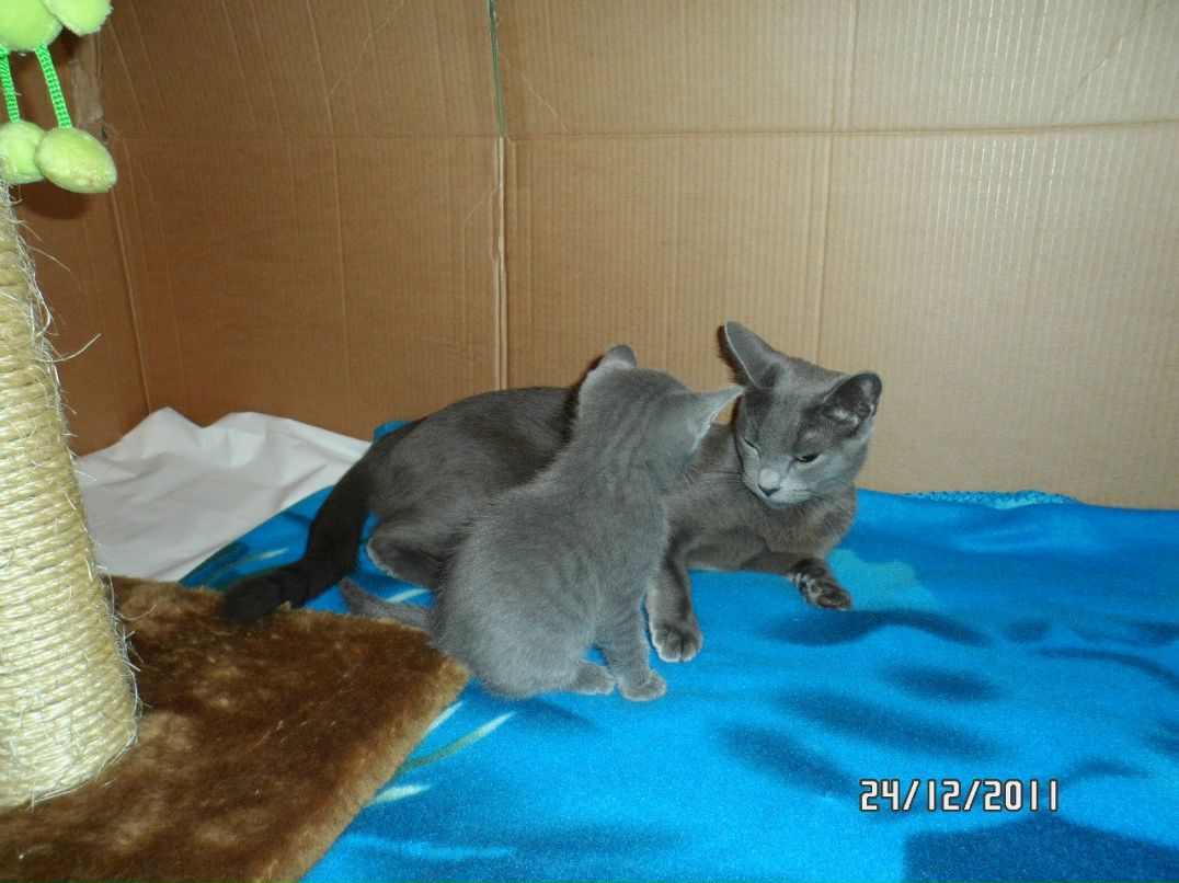 Ирина Егорова | Санкт-Петербург