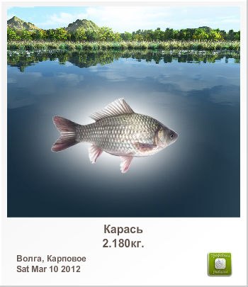 Александр Силин | Великие Луки