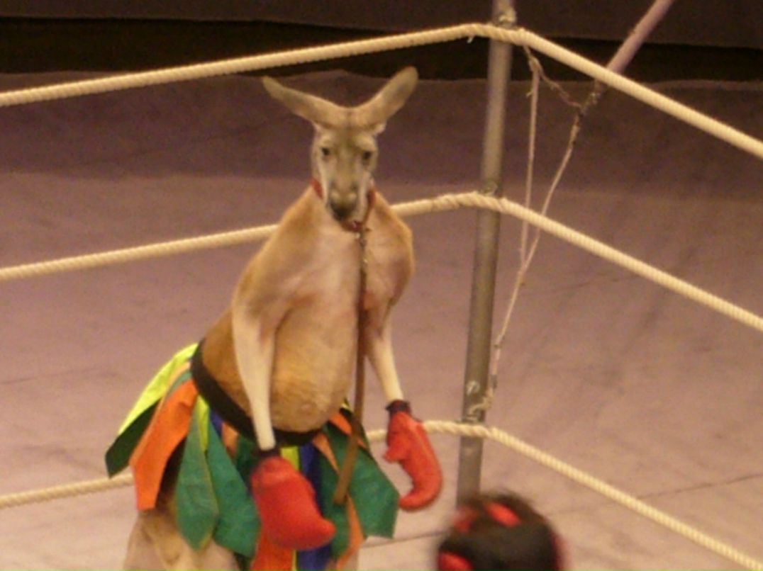 Валентина Королева | Санкт-Петербург