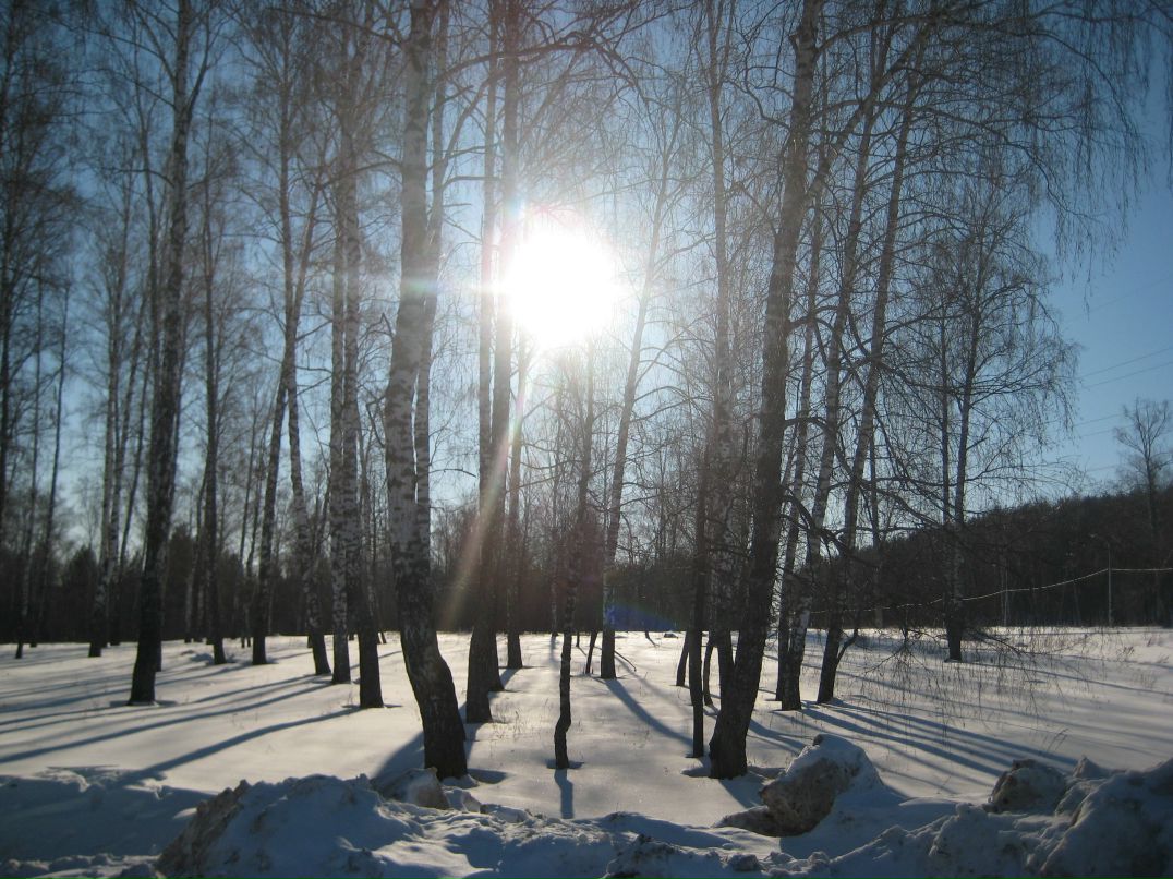 Светлана Петрова | Сочи