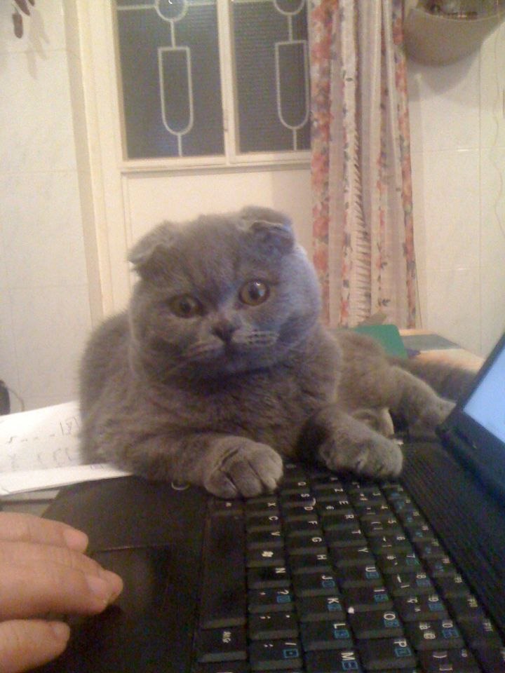 Наталия Чунаева | Москва