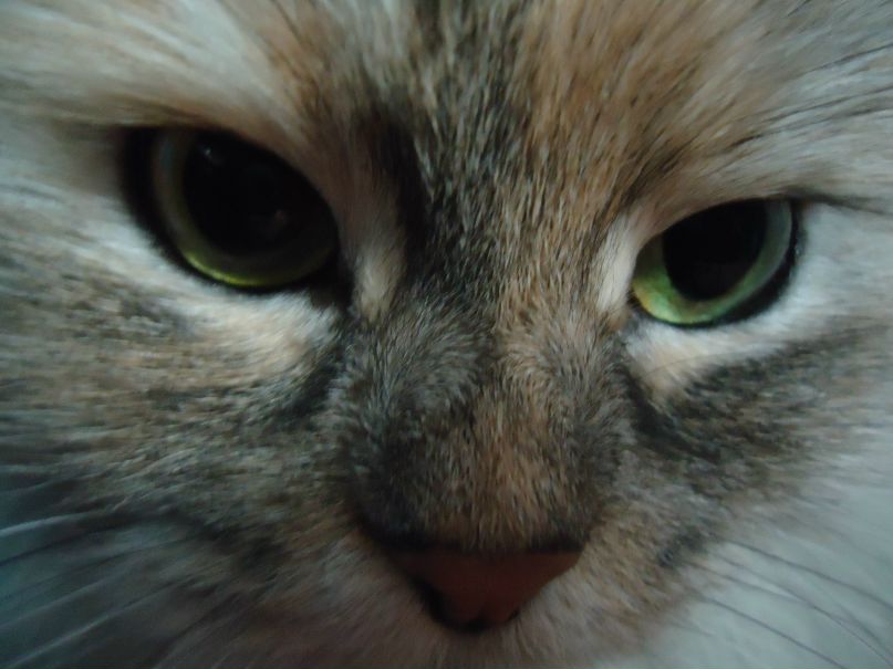 Александра Колодченко | Белгород