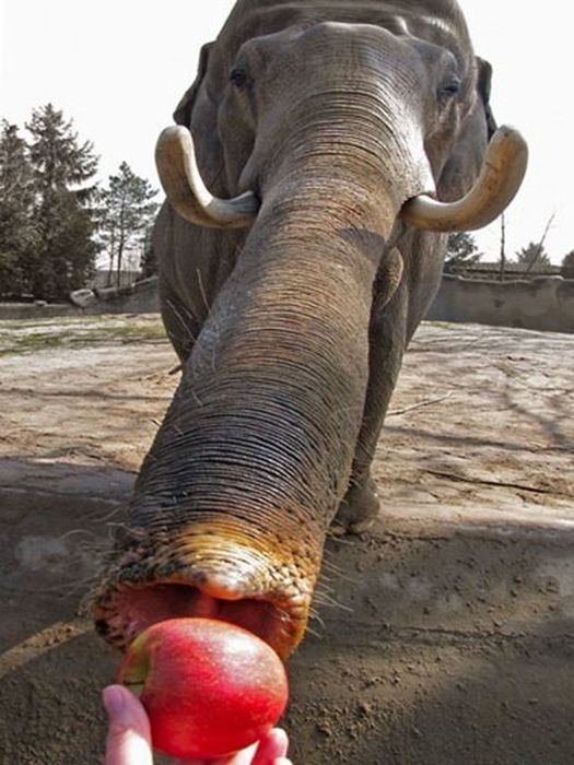 Димон Чик | Киев