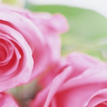 №51, Светлана Волкова, Киев №51, Светлана Волкова, Киев