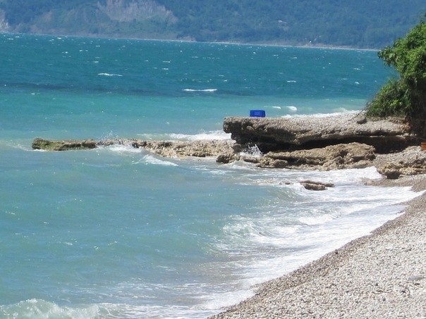 Александр Чертилин Валерьевич | Лесные Поляны