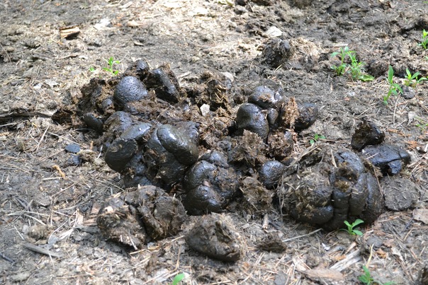 №128, Дмитрий Васильев, Новосибирск №128, Дмитрий Васильев, Новосибирск