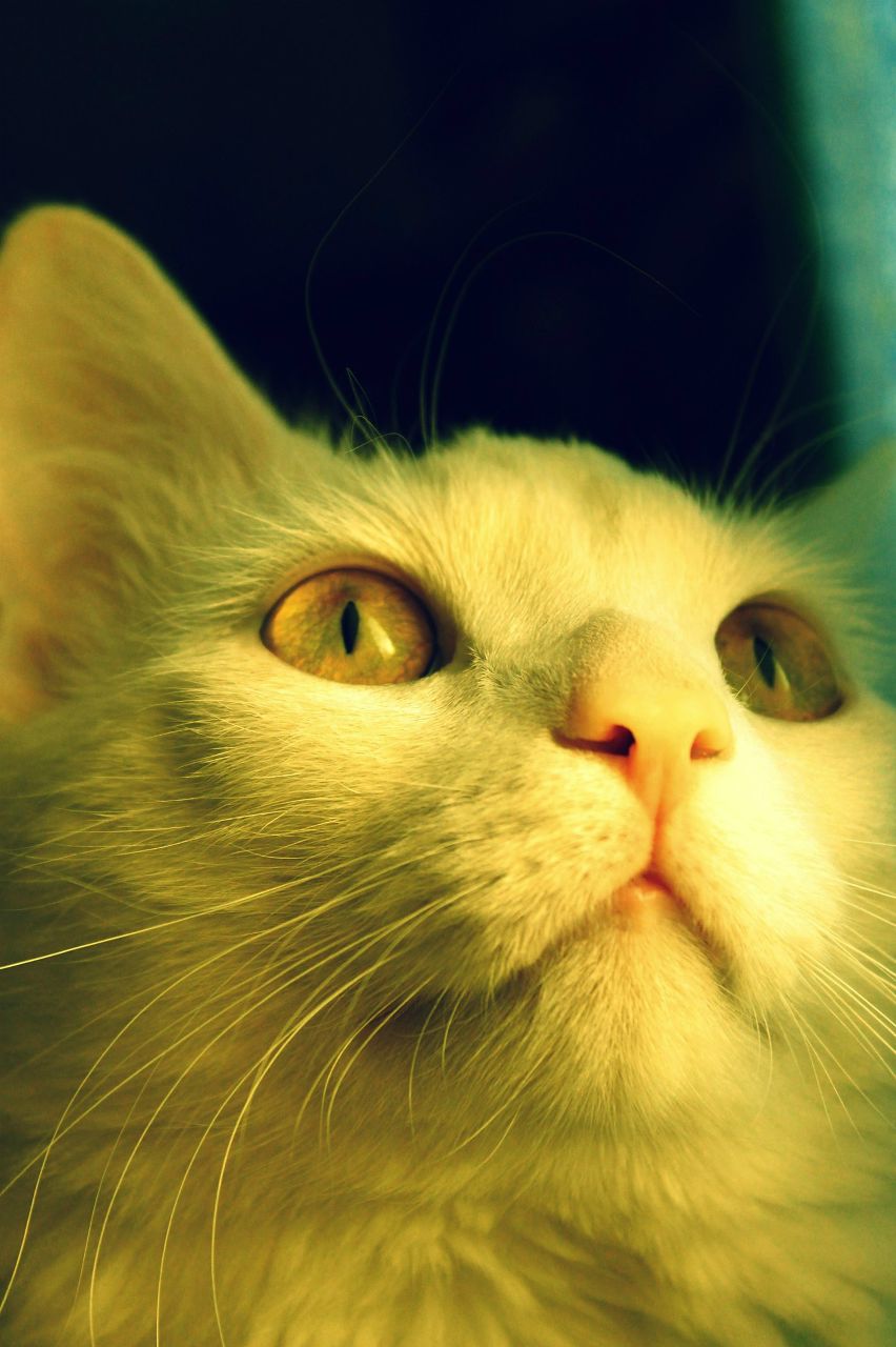 Жанна Шух | Санкт-Петербург