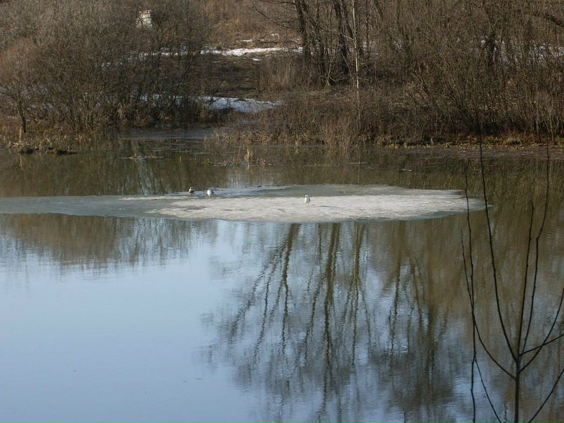 №156, Константин Соколов, Москва №156, Константин Соколов, Москва