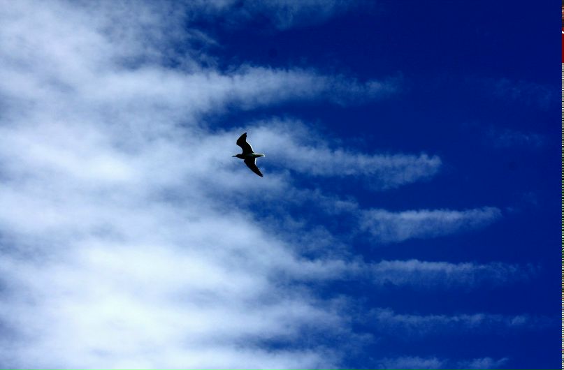 Lala Pupil | Красноярск