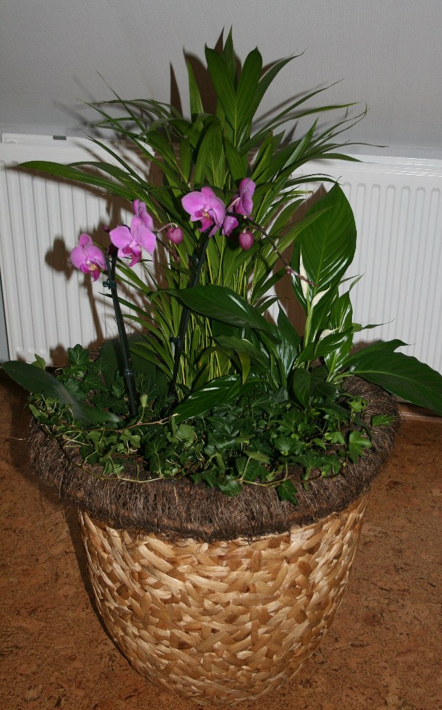 Natali Matussewitsch | 