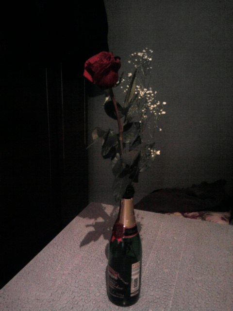 Марина Курбатова | Ухта