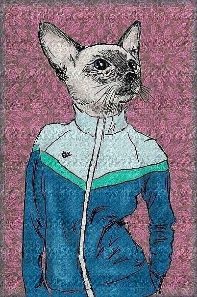 Алексей Баохин | 