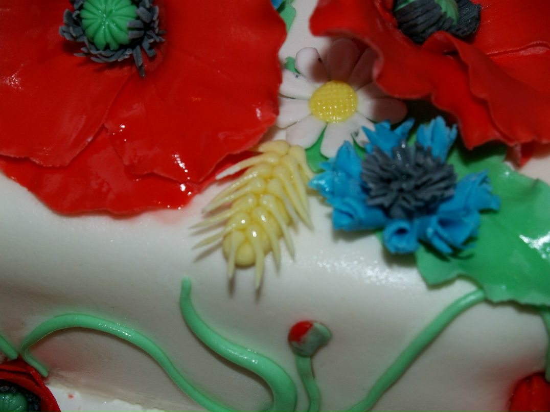 Наташа Криворотько | Киев