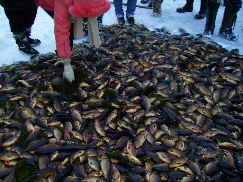 Афанасий Иванов | Сайылык