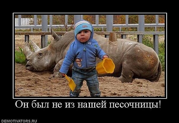 №17, Андрей Михеенко №17, Андрей Михеенко