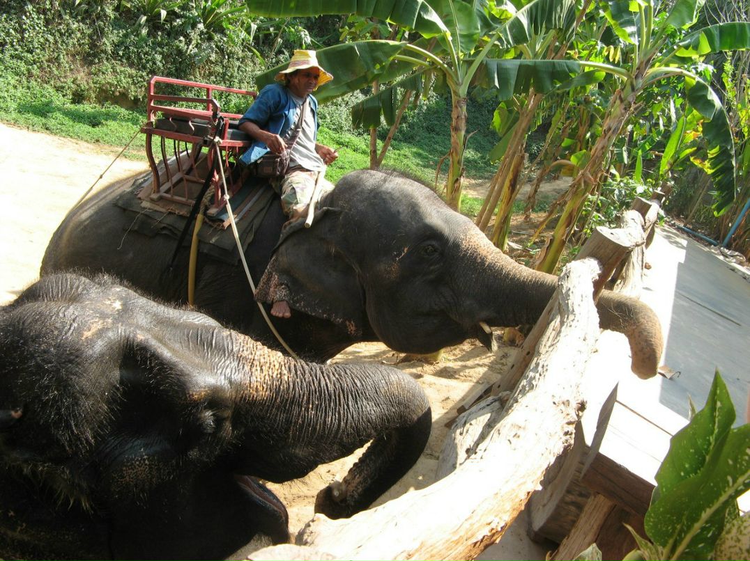 Катерина Горланова | Екатеринбург