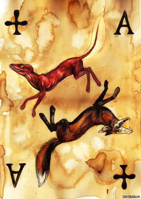 Анюта Желнина ♫ ka†ze ♪ | Санкт-Петербург