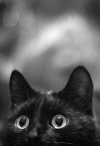 Андрей Алексеевич | Якутск