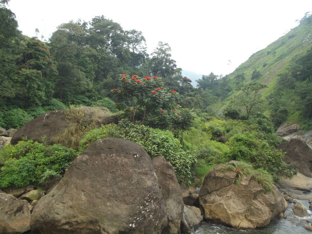 Игорь Гоголев | Тель-Авив