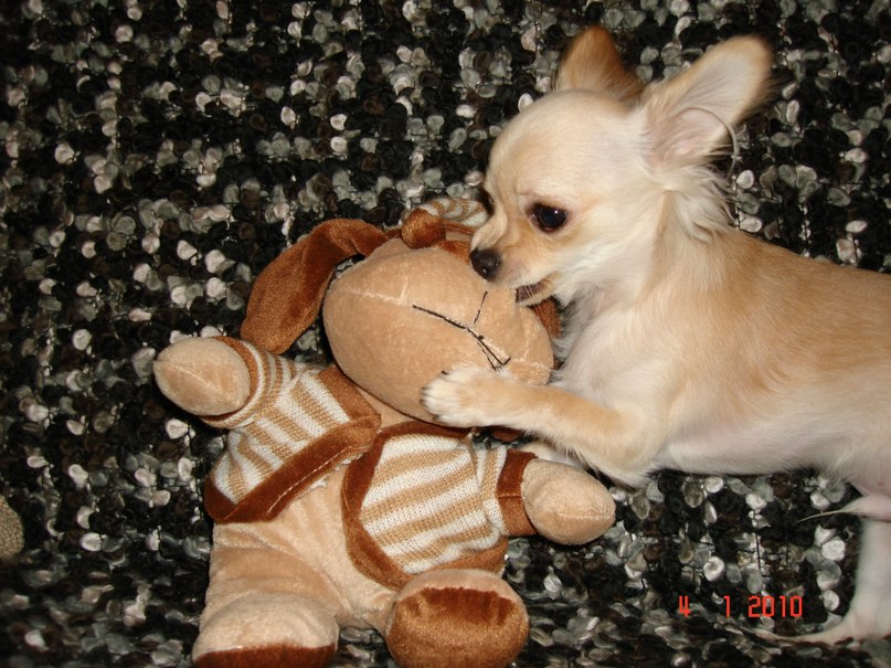 Марина Ильичёва | Санкт-Петербург