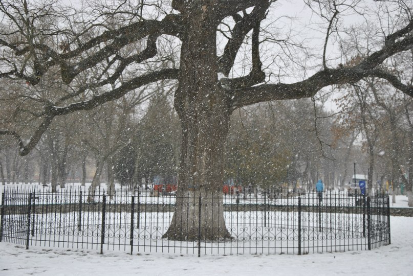 Серёга Борзов | Херсон