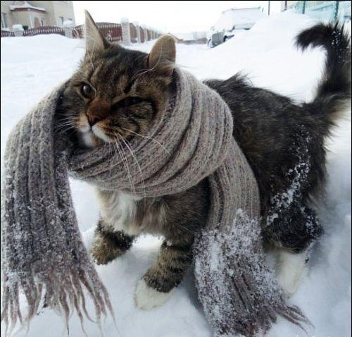 Наталья Павлова | Санкт-Петербург