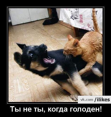 Иван Захаров ღ√ιק ๑۩Сайлз_Ломмети۩๑◄2009 | 