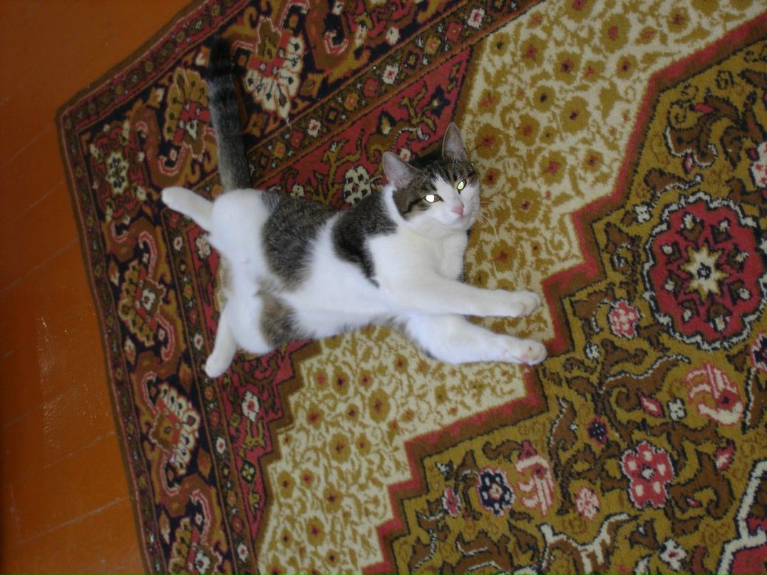 Василий Гаврилов Александрович | Пермь