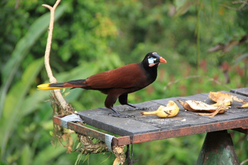 Виктория Мусина | Казань