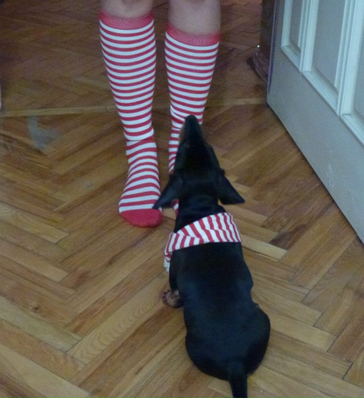 Наташа Корпанец | Киев