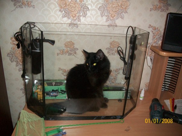 №16, Наталия Мурзина, 34 года, Верхняя Салда №16, Наталия Мурзина, 34 года, Верхняя Салда