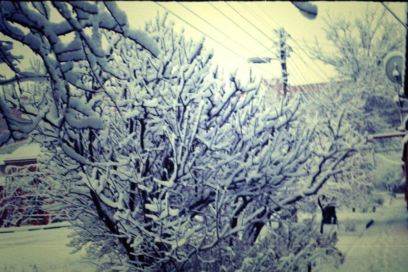 Сабина Бровист | Ростов-на-Дону