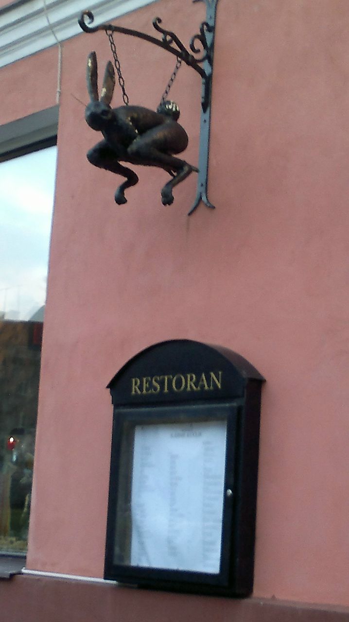 Яна Огай | Санкт-Петербург