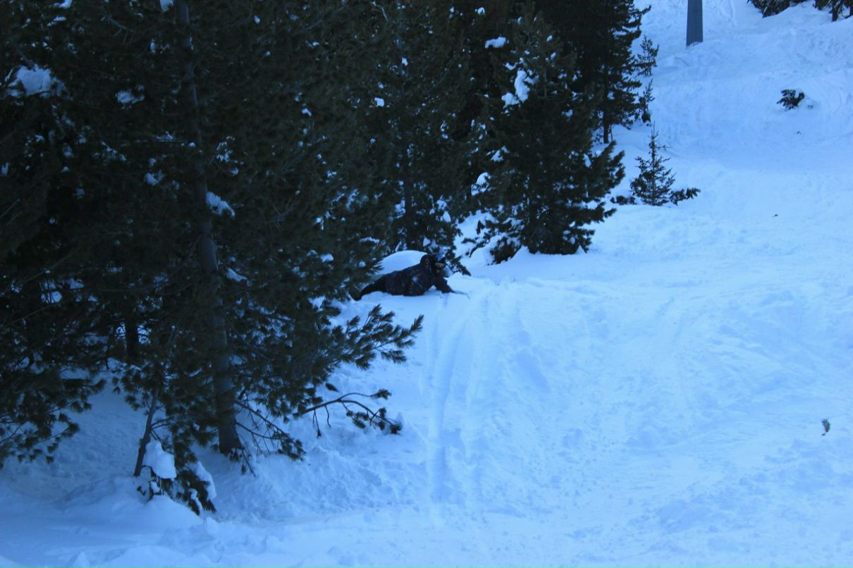 Василий Яковлев | Санкт-Петербург