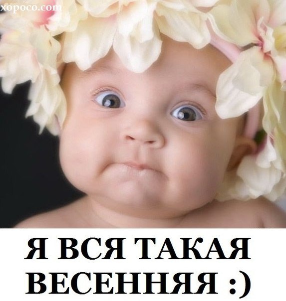 Нелля Тарасенко | Калининград