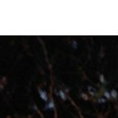 Yura Rybalko Rybka | 