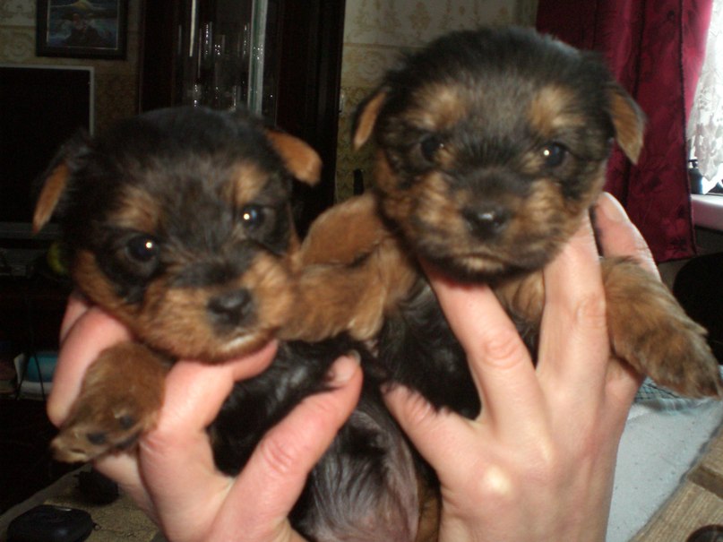 Алексей Бабин | Калининград