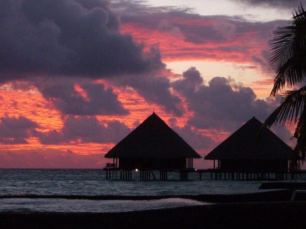 №2, Даниил Генералов №2, Даниил Генералов