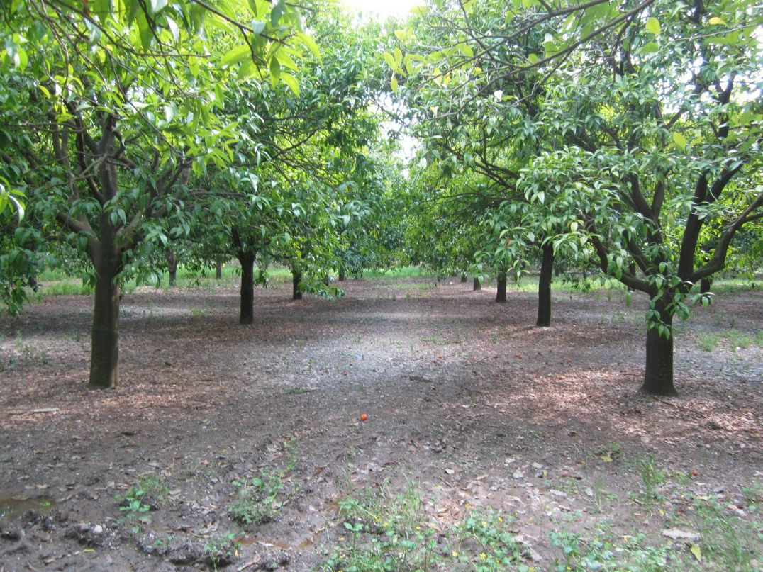 Александр Комаров | Иваново