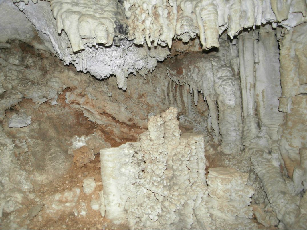 Дмитрий Пыхтин | Барнаул