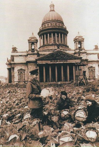 №100, Денис Голов, Санкт-Петербург, Россия №100, Денис Голов, Санкт-Петербург, Россия