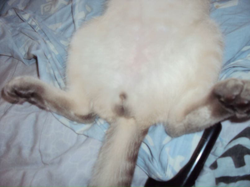 Юра Кочнев | Казань