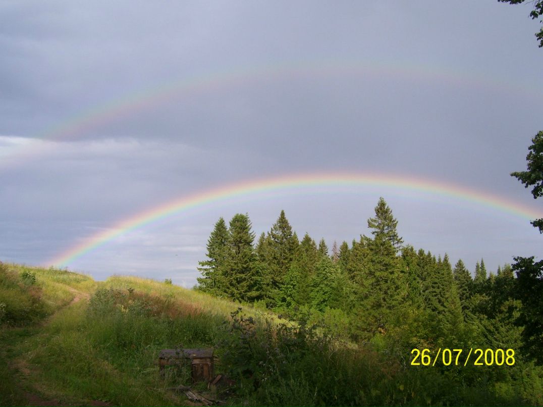 Илья Виноградов | Пермь