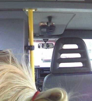 Станислав Гладун | Омск